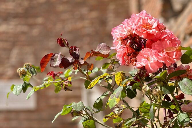 colosseum-guided-tour-with-roman-forum-palatine-hill
