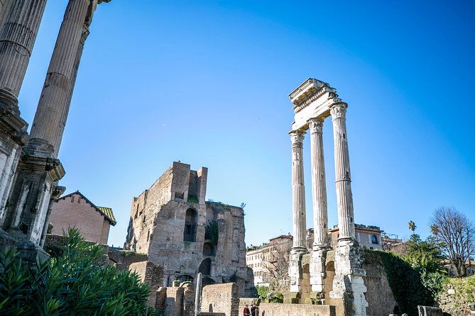 colosseum-roman-forum-and-palatine-hill-private-tour