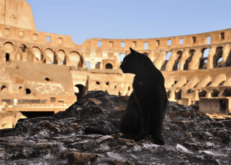 colosseum-roman-forum-palatine-hill-the-private-tour