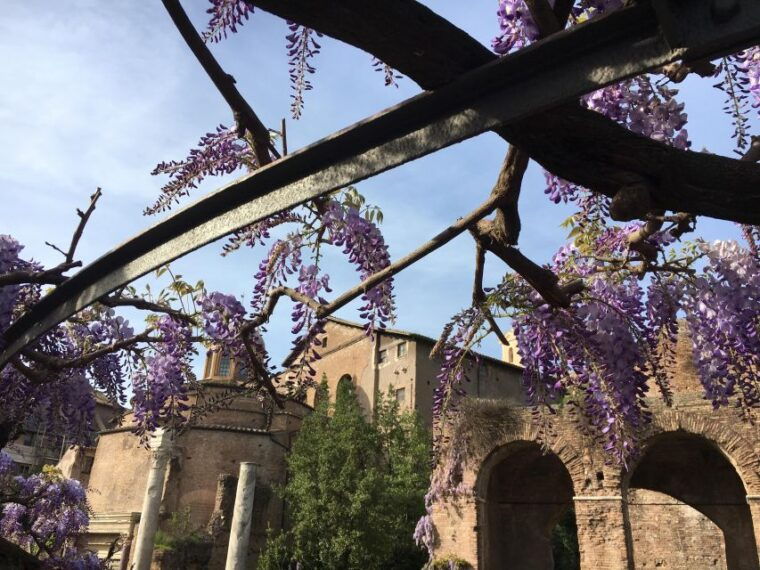 colosseum-roman-forum-palatine-hill-the-private-tour