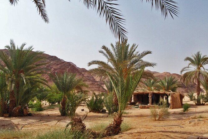 Coloured Canyon and White Canyon 1-day Jeep Safari From Dahab - The Itinerary Breakdown: What to Expect