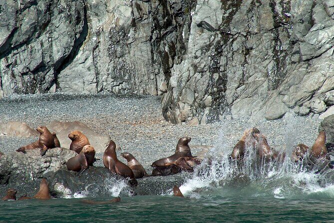 Columbia Glacier Cruise from Valdez - FAQ