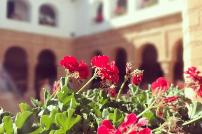 columbian-places-behind-the-steps-of-christopher-columbus