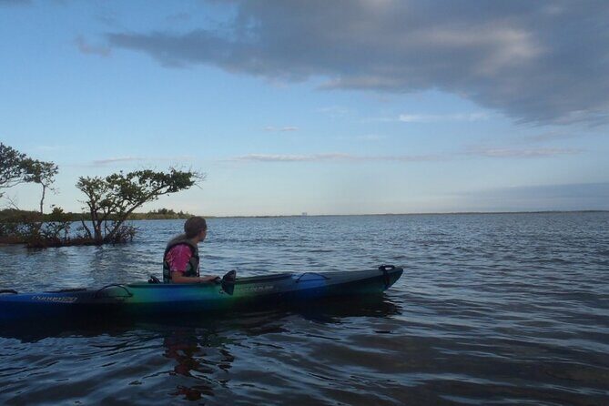 Comb Jelly Bioluminescence Kayak Tour - Why is this Tour Worth It?