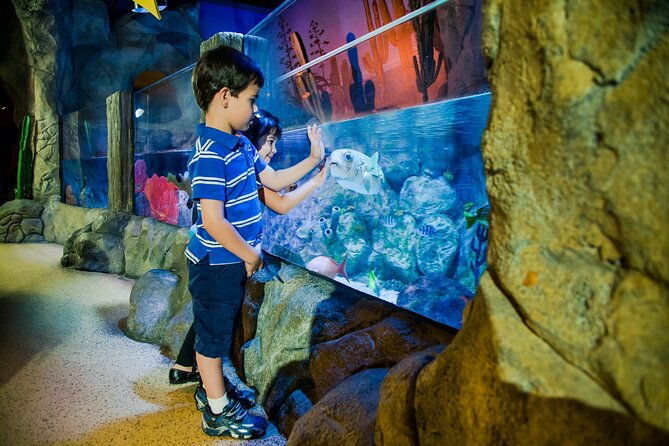 combi-ticket-legoland-discovery-centre-sea-life-oberhausen
