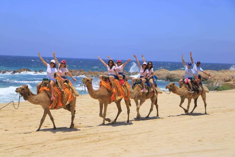 Combo 4X4 Automatic ATV & Camel Ride in Cabo by Cactus Tours - Who Will Love This Tour?