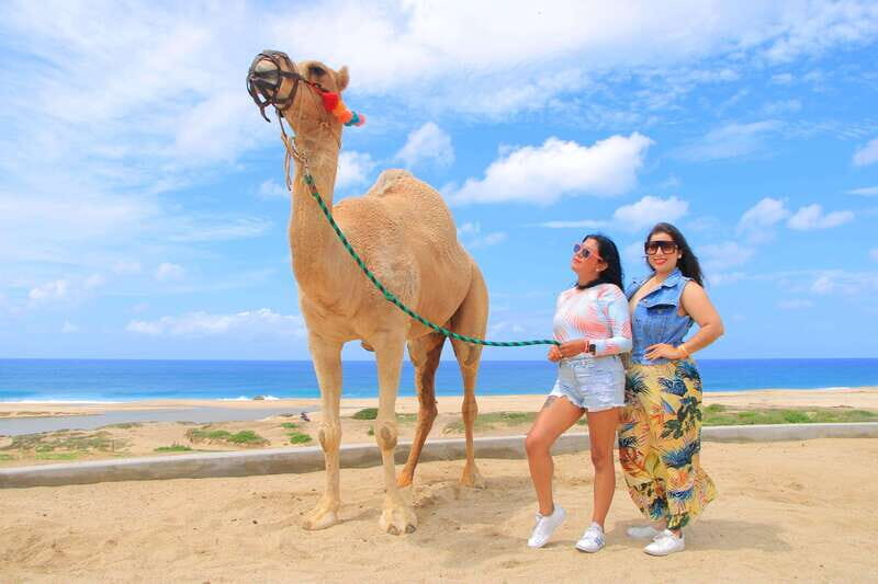 Combo 4X4 Automatic ATV & Camel Ride in Cabo by Cactus Tours - FAQs