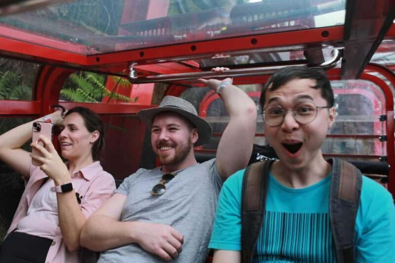 Combo: Blue Mountain Tour + Sydney Hop-on-Hop-off Bus Ticket - Pricing and Overall Value