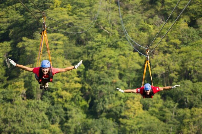 combo-day-trip-to-hanging-bridges-zipline-in-monteverde
