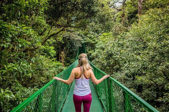 combo-day-trip-to-hanging-bridges-zipline-in-monteverde