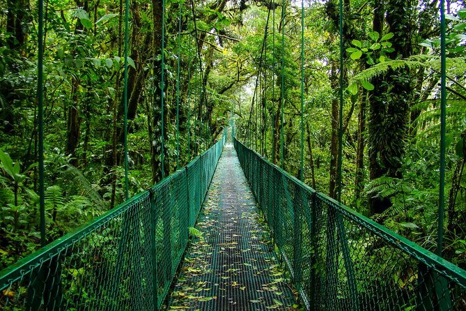 combo-day-trip-to-hanging-bridges-zipline-in-monteverde