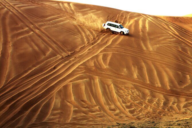 Combo Doha City and Desert Safari Tour Qatar - Who Is This Tour Best For?