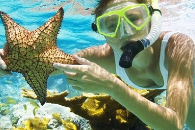 combo-el-yunque-rainforest-and-san-juan-snorkeling-with-transport
