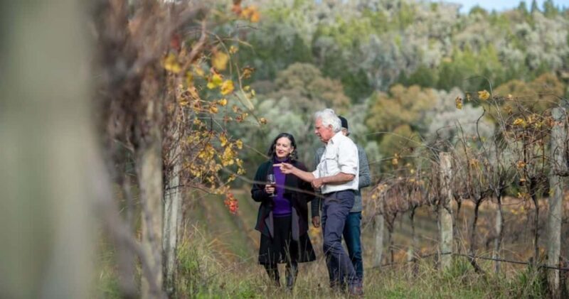 Combo: Hunter Valley Tour + Sydney Hop-on-Hop-off Bus Ticket - Key Points