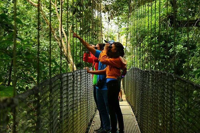 combo-jungle-volcano-hike-fortuna-waterfall-hanging-bridges-hotsprings