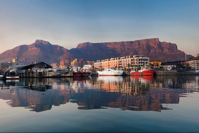 Combo Marine Wildlife Cruise & Cape Point Full Day Tour in CT - The Sum Up  