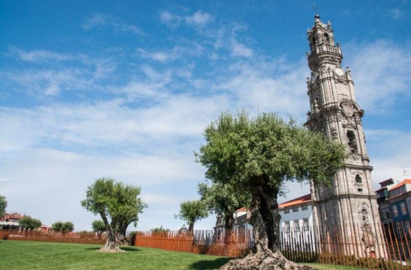 combo-porto-city-half-day-tour-aveiro-half-day-tour