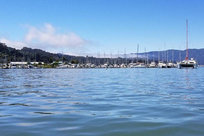 combo-small-group-tour-sf-city-plus-muir-woods-sausalito