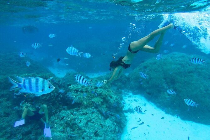 Combo snorkeling + motu lunch + jet ski group tour full day - Why This Tour is a Fantastic Choice for Your Bora Bora Visit