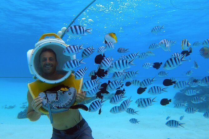 Combo snorkeling + motu lunch + jet ski group tour full day - Who Will Love This Tour?
