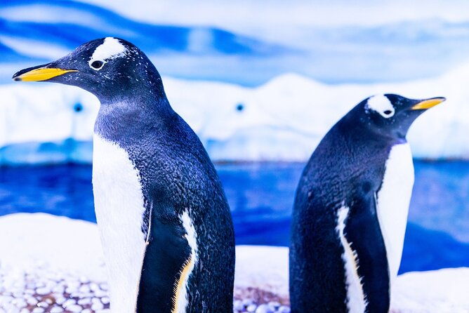 combo-ticket-madame-tussauds-sea-life-london-aquarium