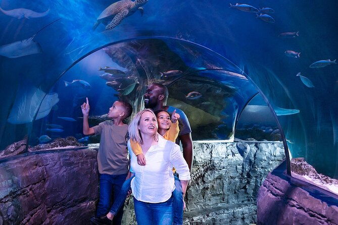 combo-ticket-madame-tussauds-sea-life-london-aquarium