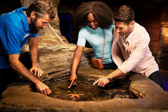 combo-ticket-madame-tussauds-sea-life-london-aquarium