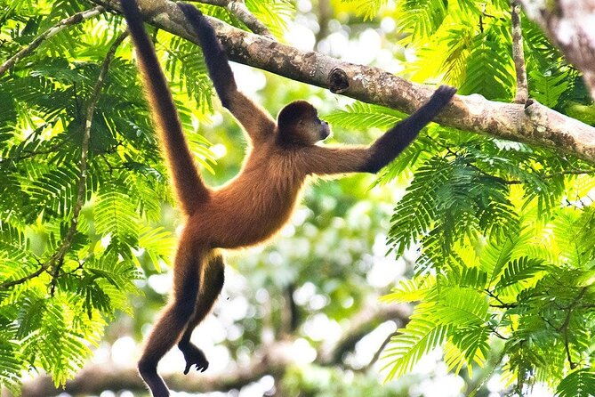 combo-tour-hanging-bridges-thermal-spa-in-arenal