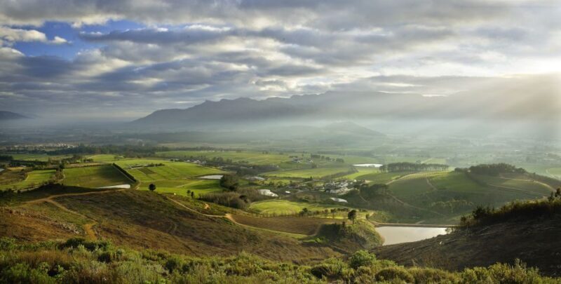 Combo Tour: Marine Wildlife Cruise & Winelands - Key Points