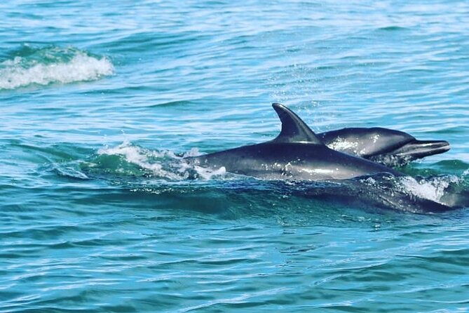 combo-tour-marino-ballena-national-park