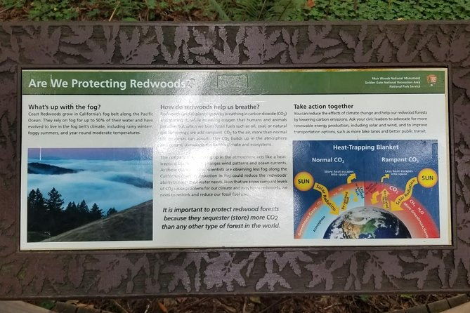 combo-tour-muir-woods-sausalito-and-sonoma-wine-country-tour-2