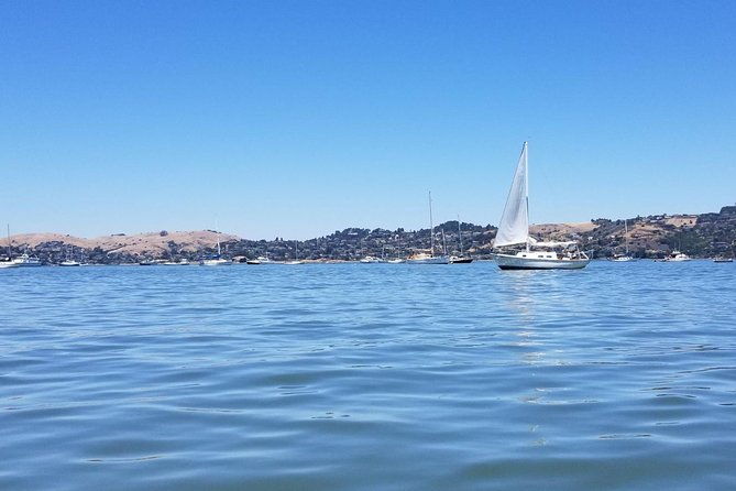 combo-tour-muir-woods-sausalito-and-sonoma-wine-country-tour-2