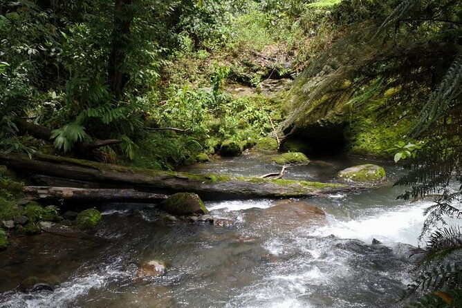 combo-tour-poas-volcano-and-la-paz-waterfall-and-coffee-tour