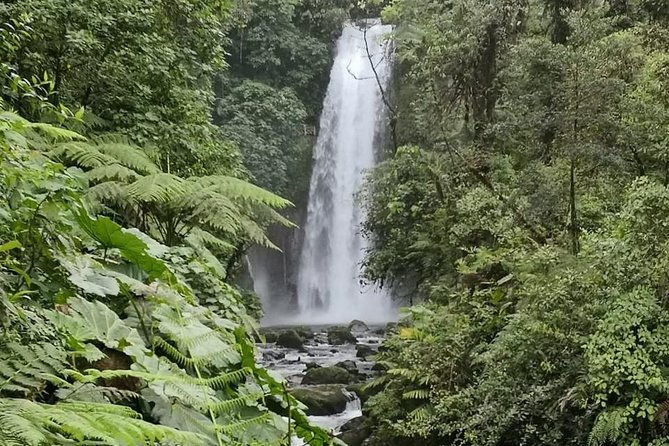 combo-tour-poas-volcano-and-la-paz-waterfall-and-coffee-tour