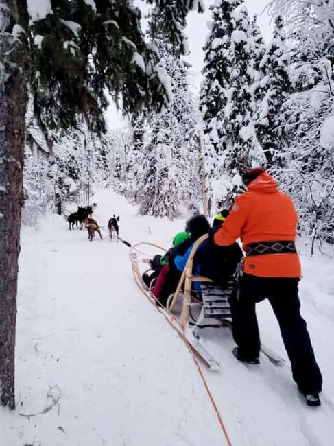 Combo TourHusky and Reindeer Sledding Ride in Levi - The Experience: What to Expect in Detail