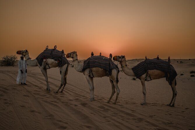 Combo:Private Desert Safari + dinner & ATV Self-drive/Quad Bike - Key Points