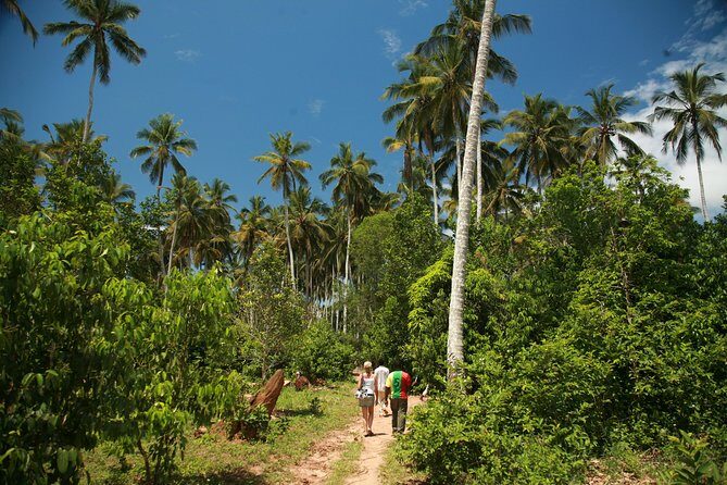 Come and taste the Zanzibar feelings - An In-Depth Look at the Itinerary
