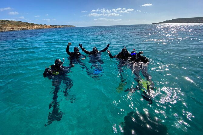 comino-guided-snorkeling-experience