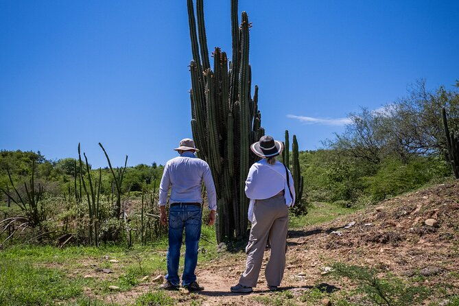 community-and-biodiversity-tour-of-the-tatacoa-desert-villavieja