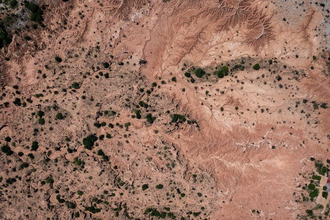 community-and-biodiversity-tour-of-the-tatacoa-desert-villavieja