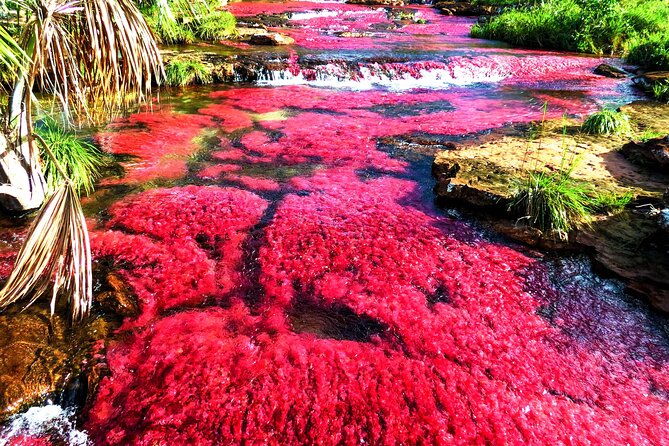 community-tour-3-days-2-nights-all-included-in-guaviare