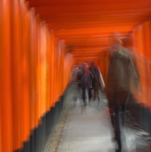 Compact Kyoto day tour experience - The Value of a Guided Private Tour