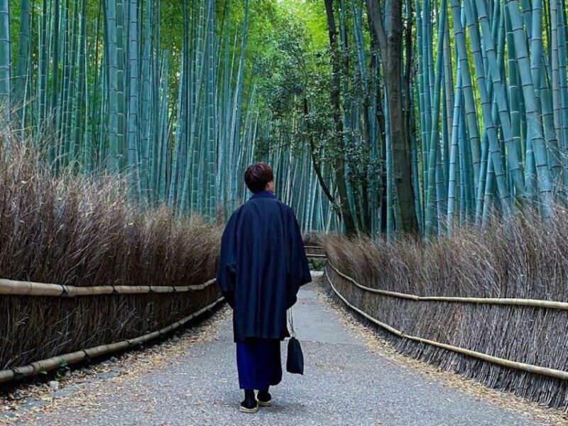 Compact Kyoto day tour experience - Final Thoughts