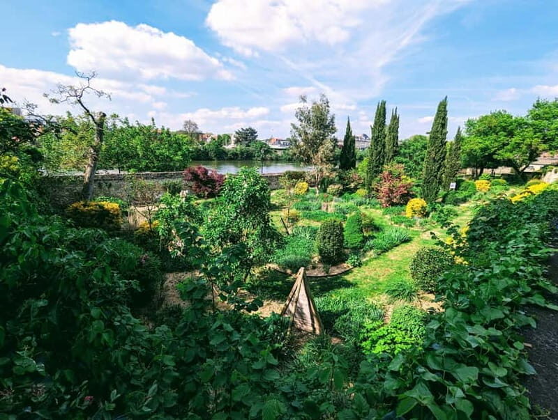 Compiègne : belle promenade "découverte" en Mobylette ! - Practical Details & Value