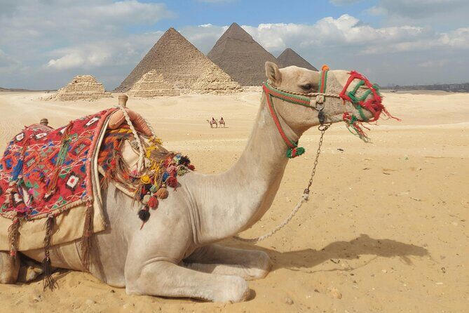 Complete Adventure in Giza: Pyramids, Camel & Quad ATV, dinner.. - Key Points