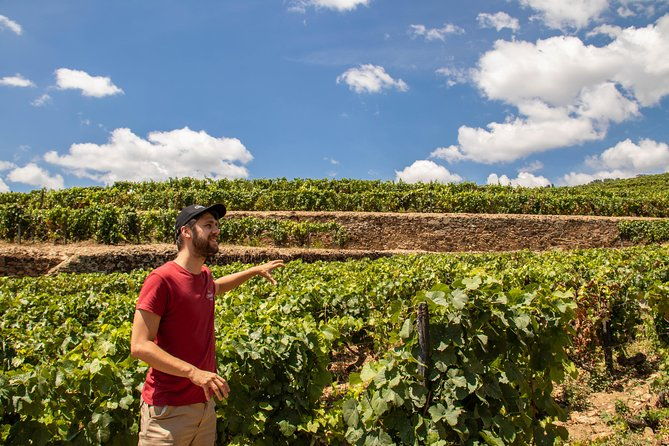 complete-douro-valley-wine-tour-with-lunch-wine-tastings-and-river-cruise