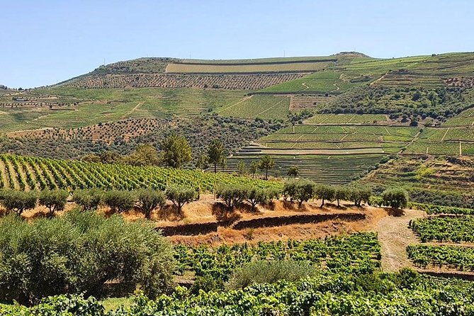 complete-douro-valley-wine-tour-with-lunch-wine-tastings-and-river-cruise