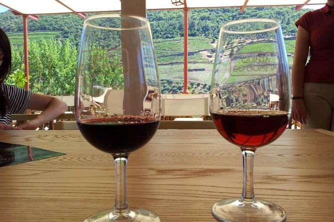 complete-douro-valley-wine-tour-with-lunch-wine-tastings-and-river-cruise