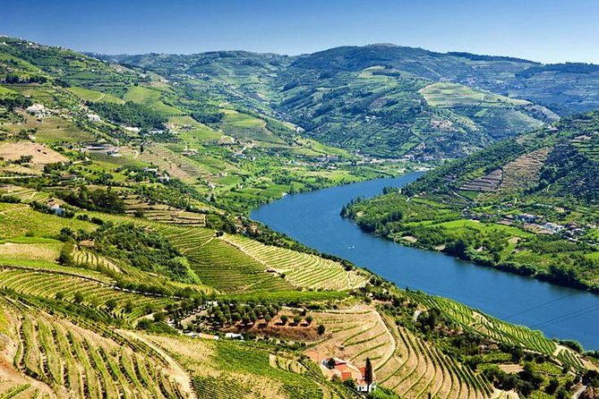 complete-douro-valley-wine-tour-with-lunch-wine-tastings-and-river-cruise