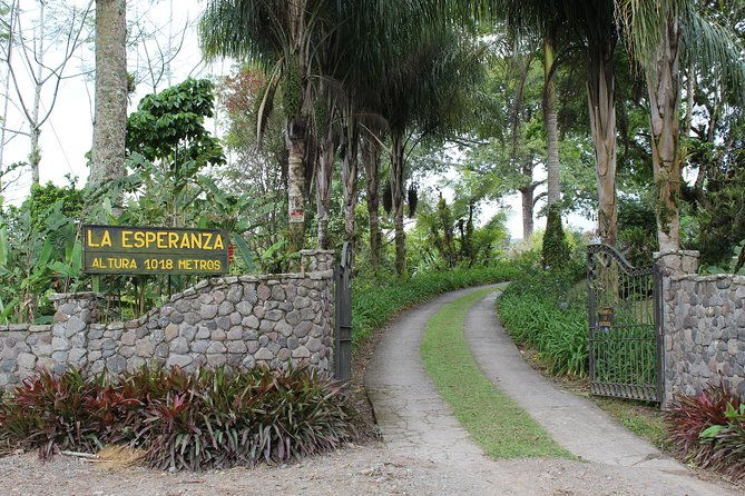 complete-lunch-in-our-house-hacienda-la-esperanza
